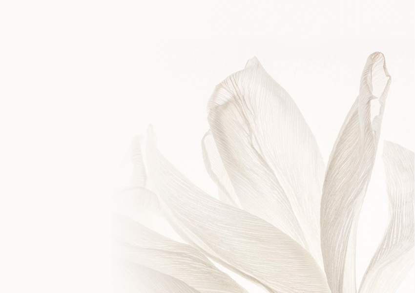 Sraith Buidéal Cumhrán